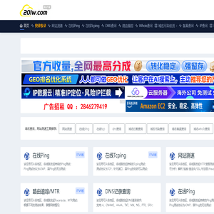 域名查询_在线ping检测_网站测速工具_dns查询_201测速网